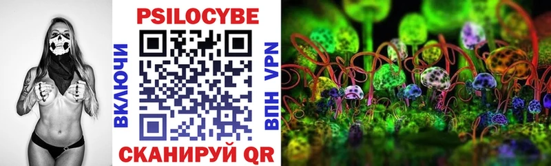 купить наркоту  Орехово-Зуево  Псилоцибиновые грибы Psilocybe 